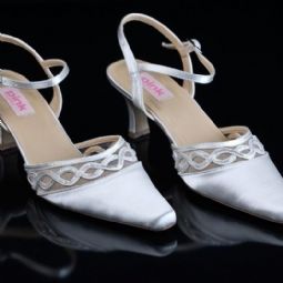 dsc6784 800px dsc6784 800px