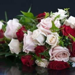 dsc6805 800px dsc6805 800px