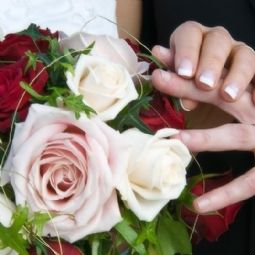 dsc6872 800px dsc6872 800px